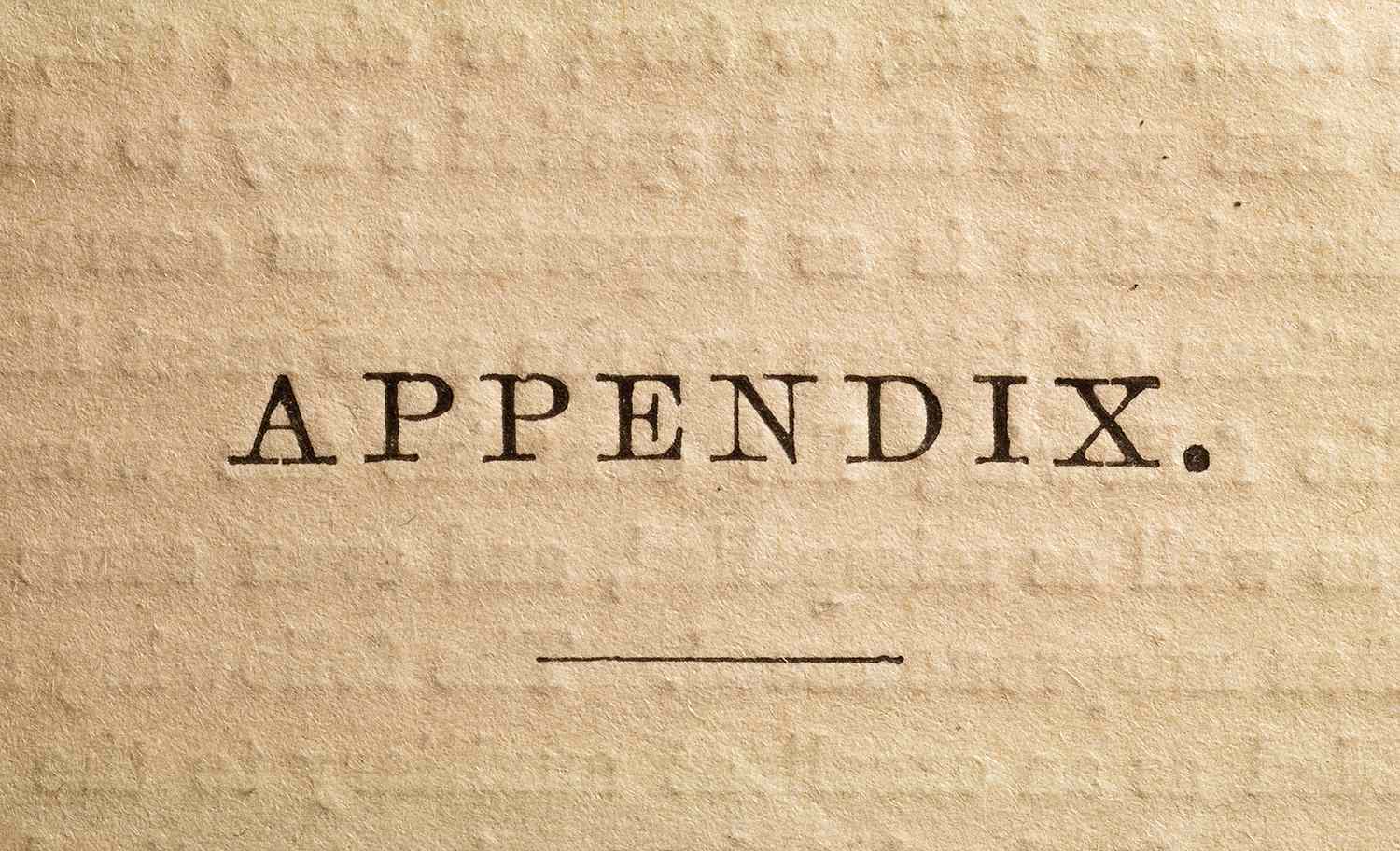 Appendices and Notes