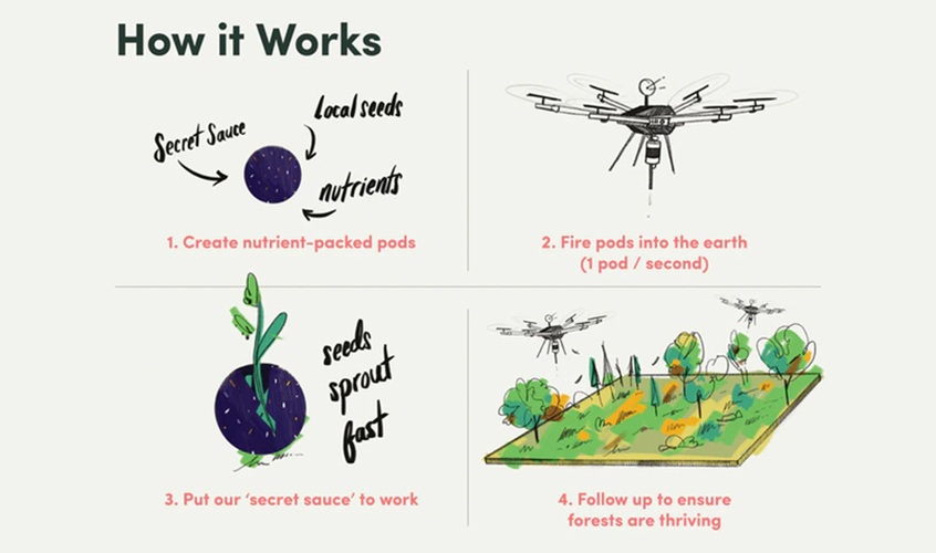 How tree planting with drones works.