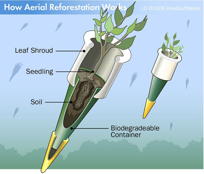 Seed bomb concept that could be aerially dropped by the thousands.