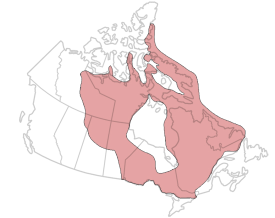 Canadian Shield