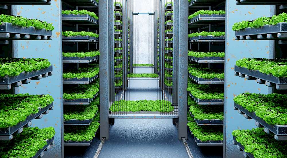 Chapter 6: The Future of Agriculture